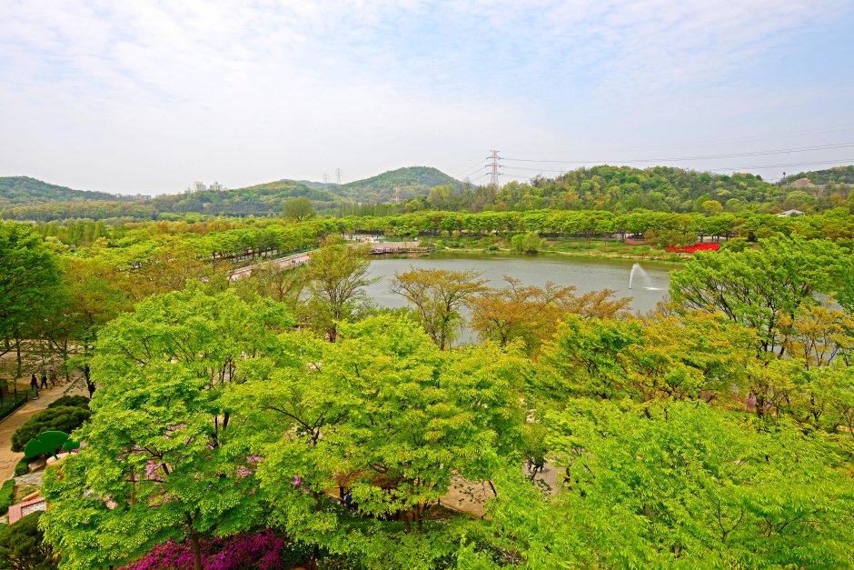🌳 안노 중앙 종합공원(안노추오소고코엔) 이미지 1